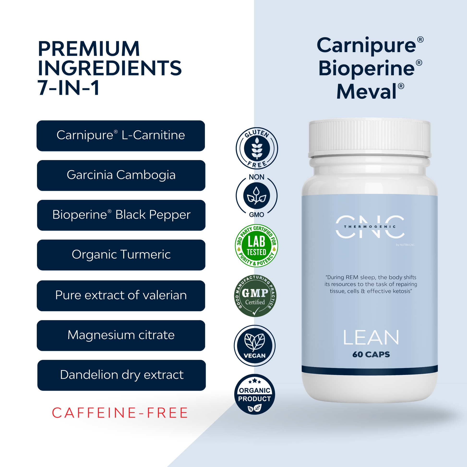 para q es la l carnitina ¿Qué es y para qué sirve la L-carnitina? para q es la l carnitina ¿Qué es y para qué sirve la L-carnitina?